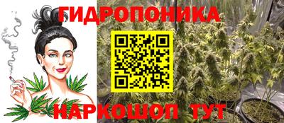 крисы Краснознаменск