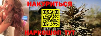 крисы Краснознаменск
