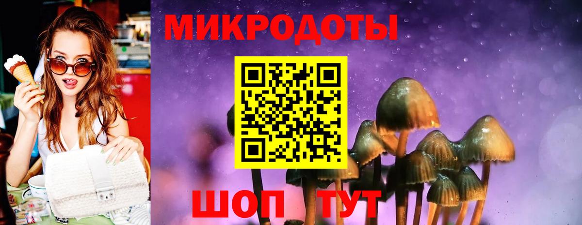 Жигулёвск  Псилоцибиновые грибы Psilocybine cubensis  Вход с VPN 
